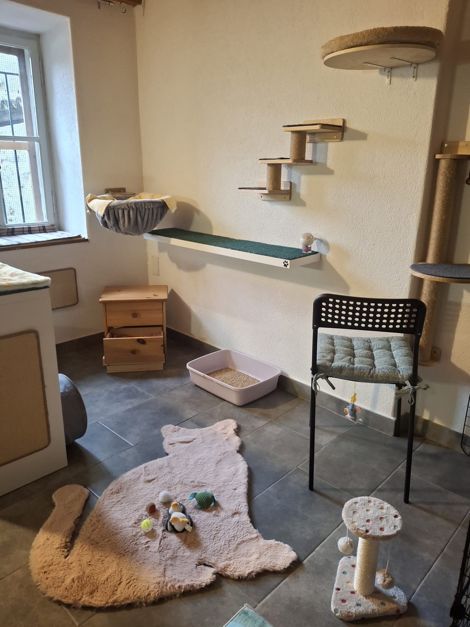 Room with climbing shelves and window hammock