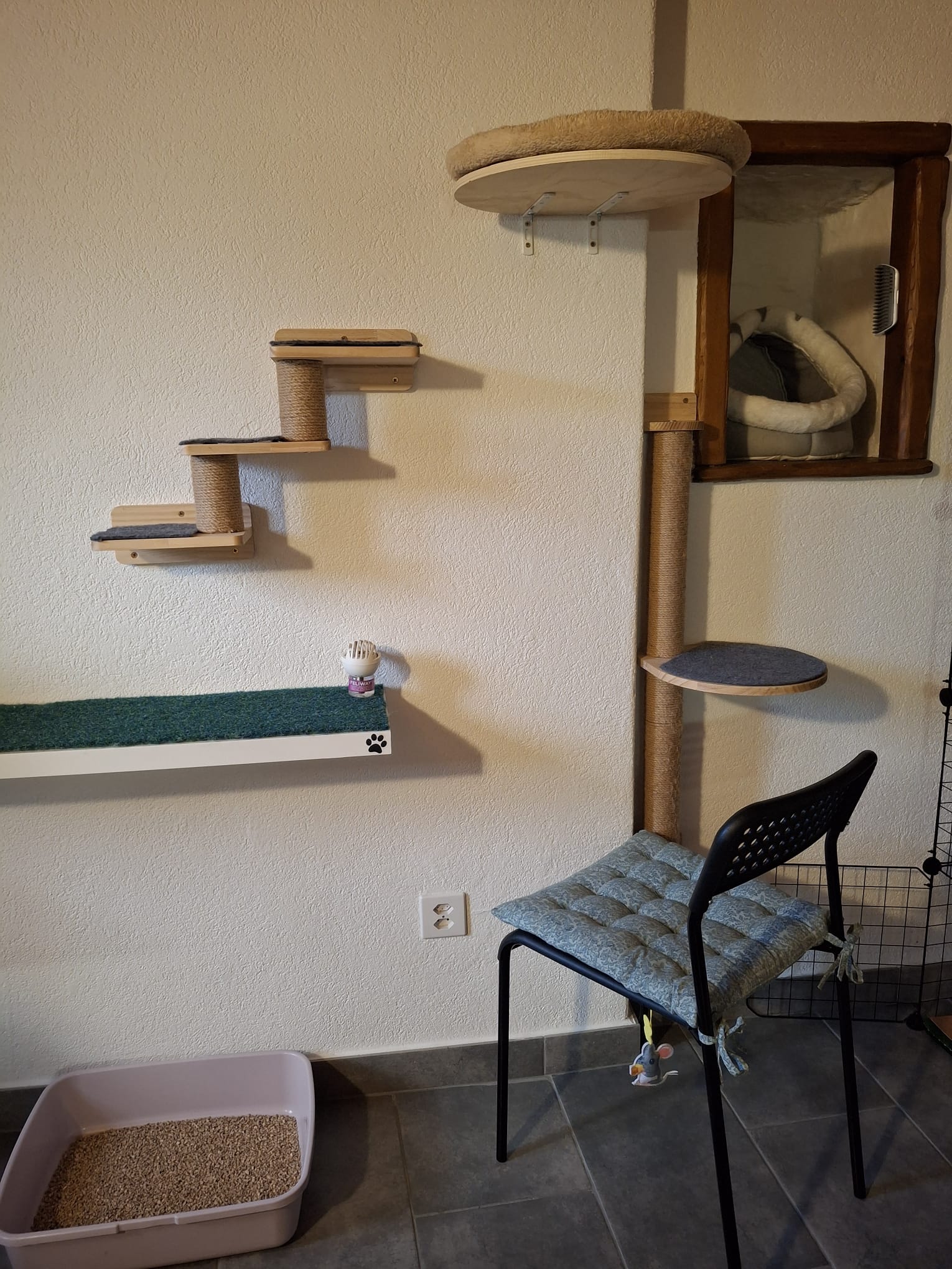 Climbing wall with steps and scratching tower