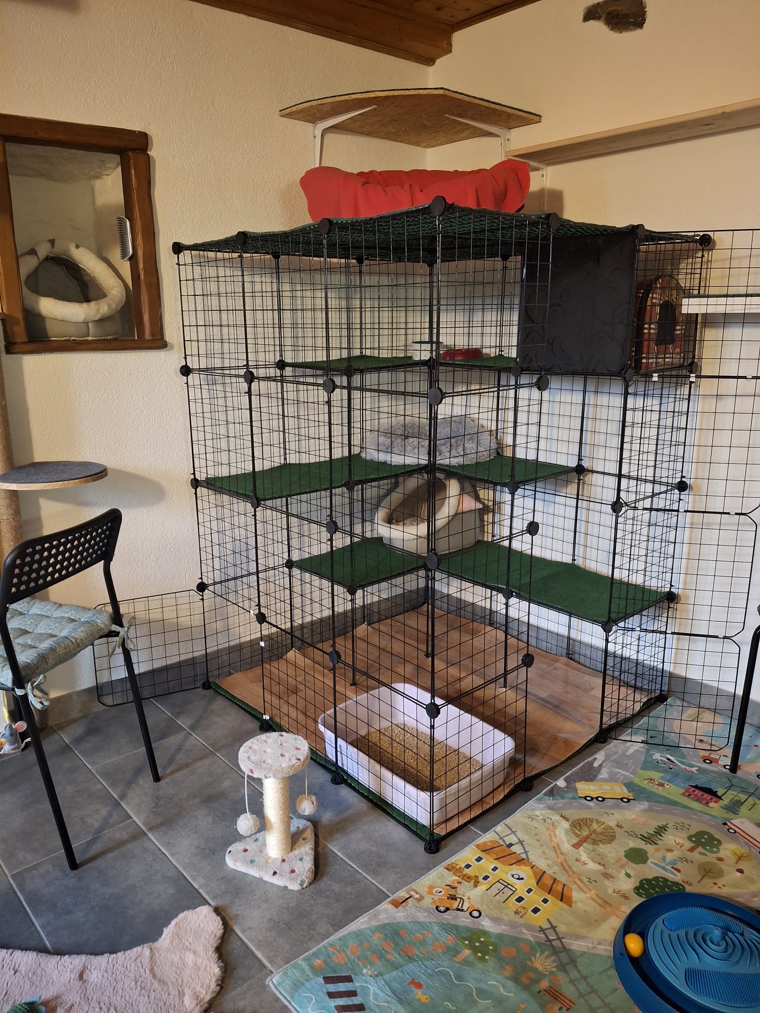 Multi-level metal enclosure with beds