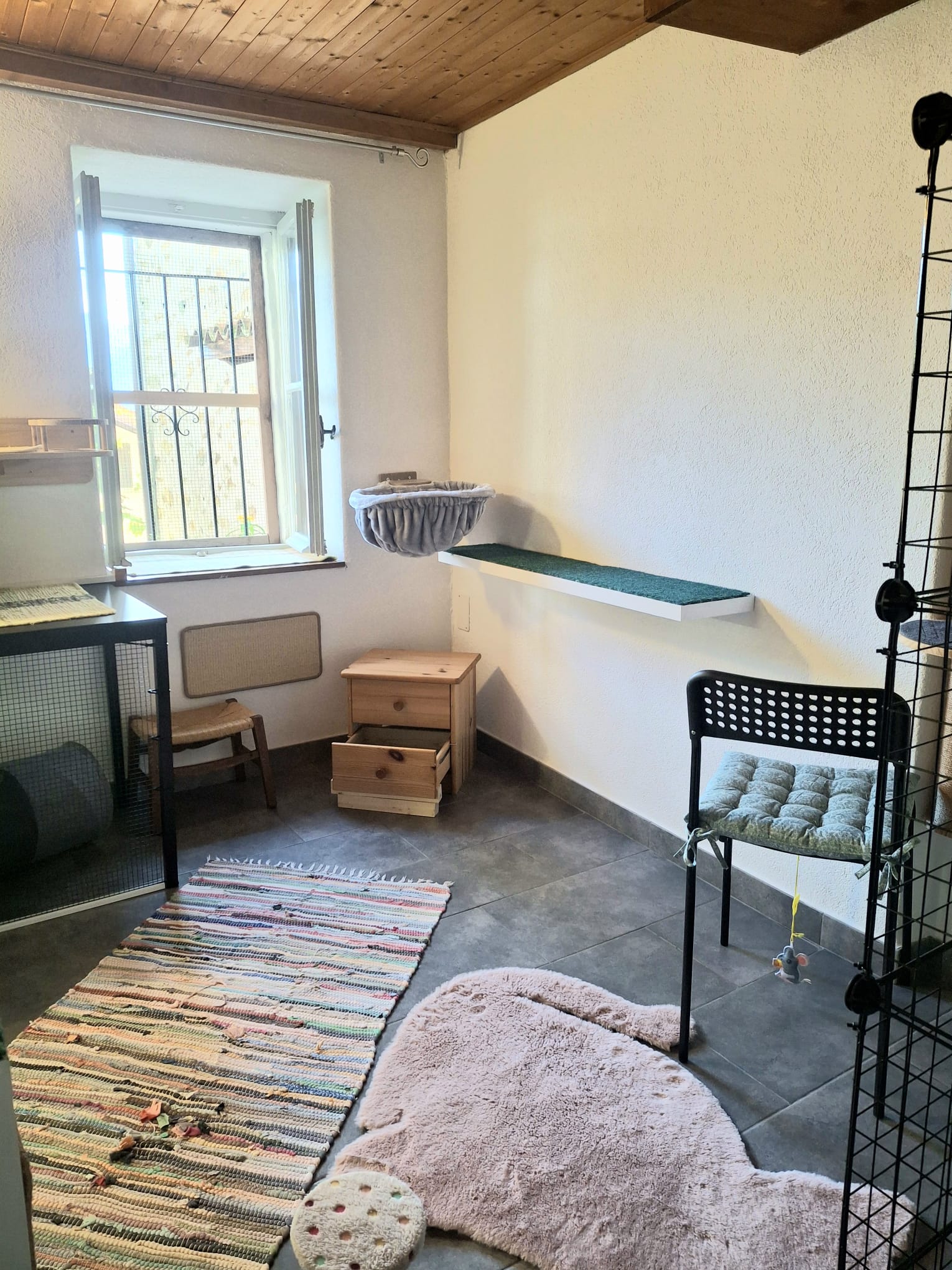 Peaceful daylight room