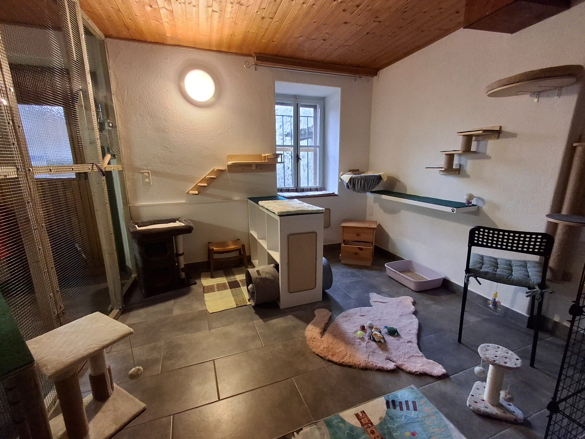 Room panorama with glass door and wooden ceiling