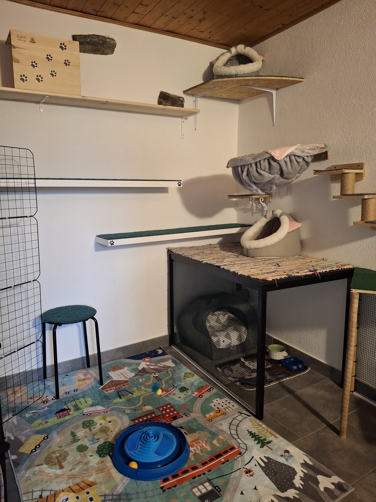 Retreat corner with wall shelves and shelter