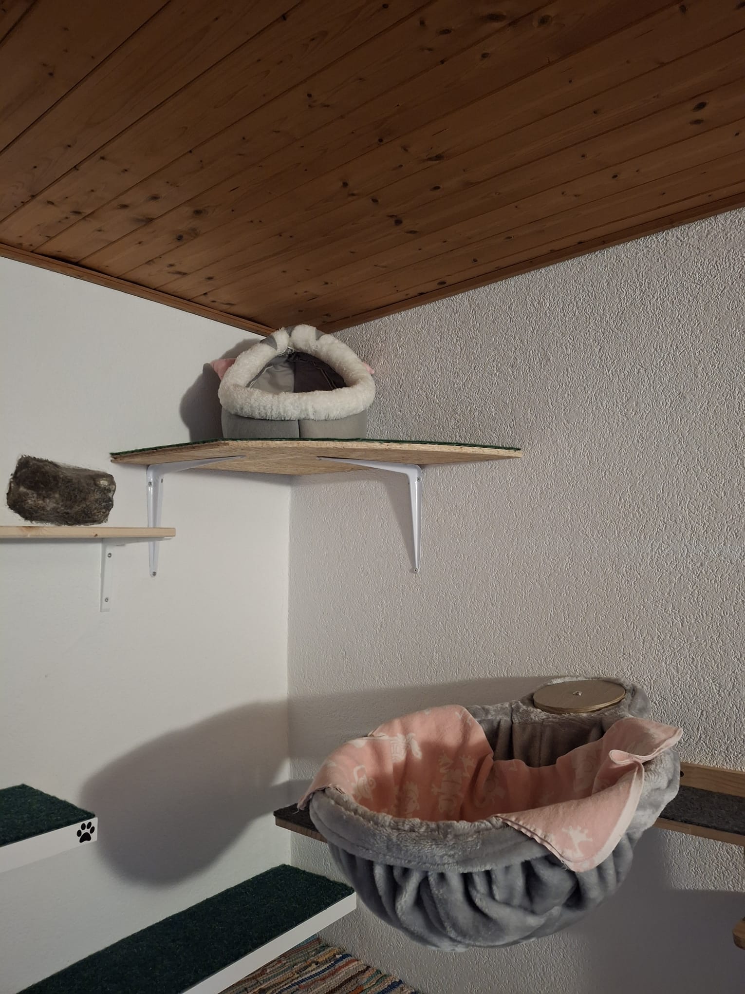 Wall-mounted sleeping spots at different heights